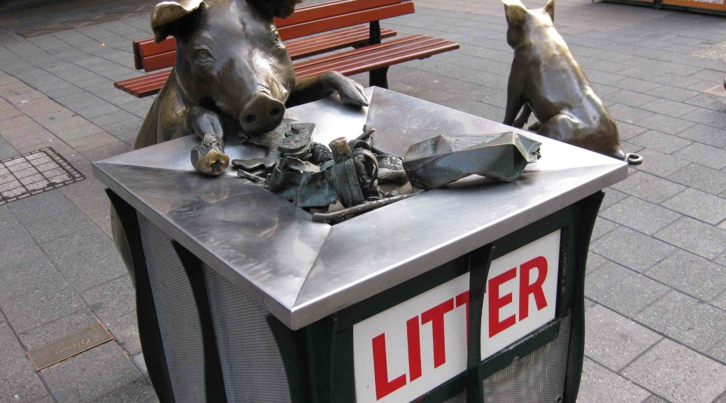 Litter pigs in Adelaide