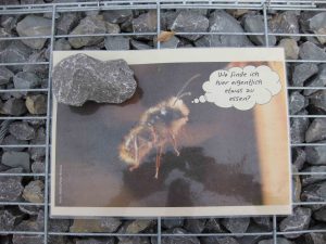 Biene im Schotter