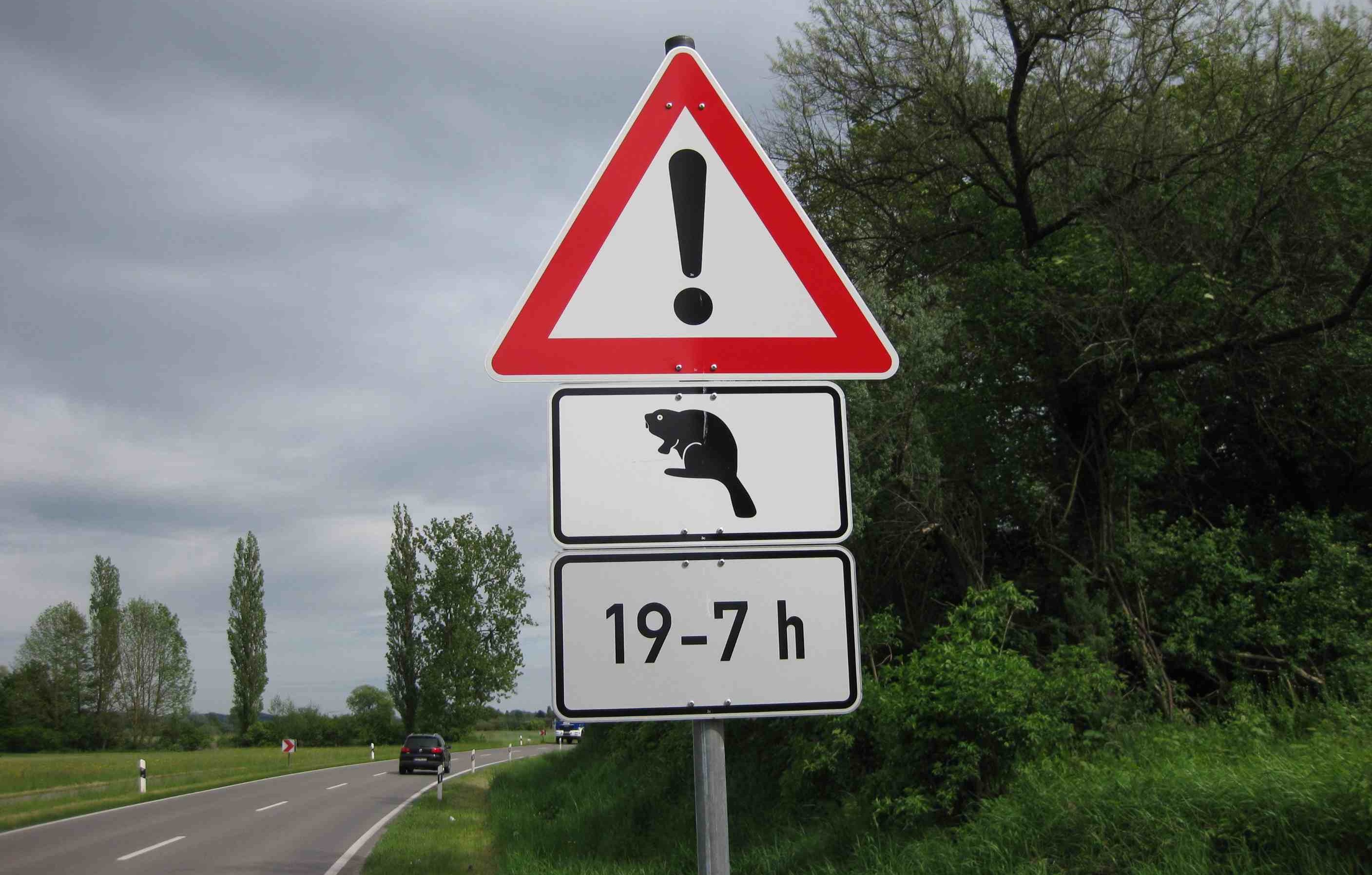 Beaver signpost in Radolfzell
