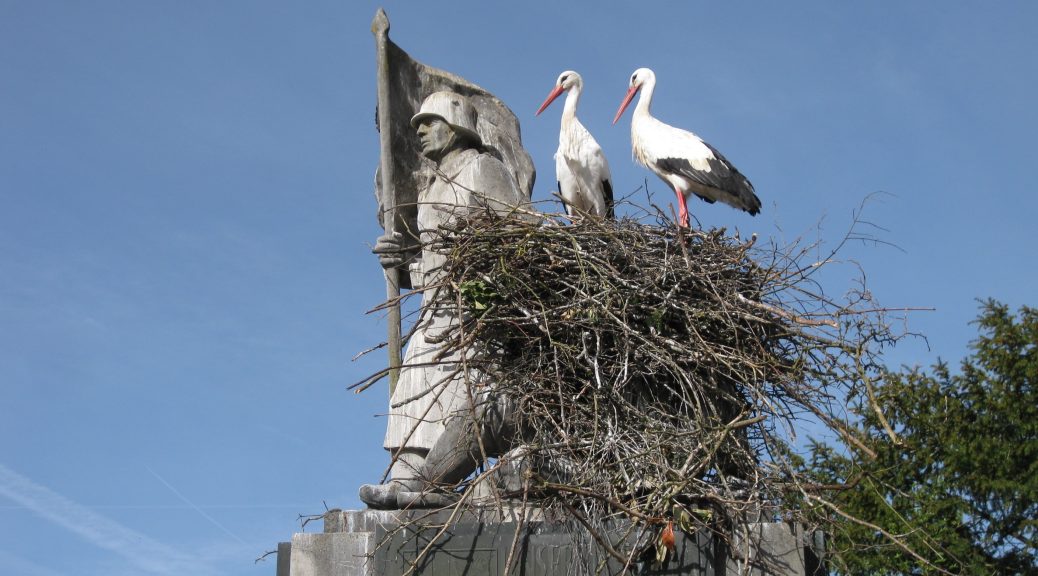 Patriotische Voegel in Radolfzell